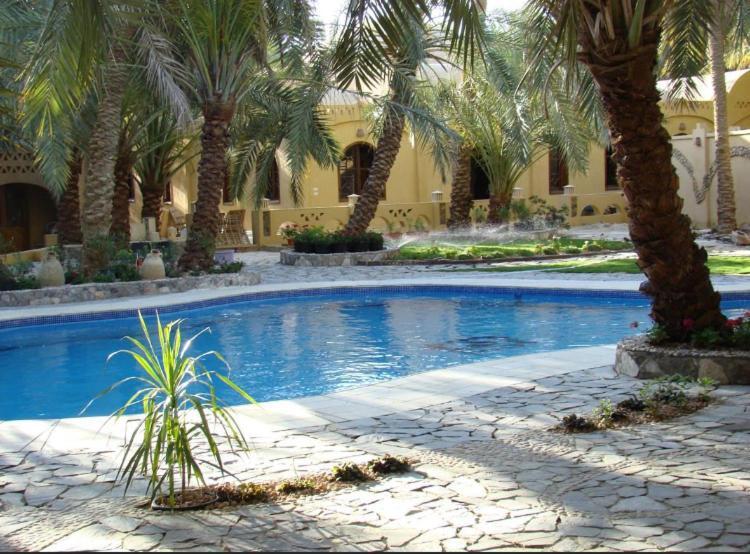 Siwa Paradise Szíva-oázis Kültér fotó