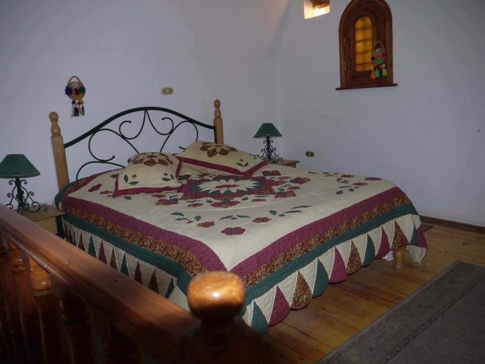 Siwa Paradise Szíva-oázis Kültér fotó