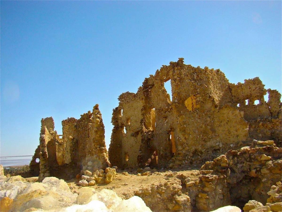 Siwa Paradise Szíva-oázis Kültér fotó