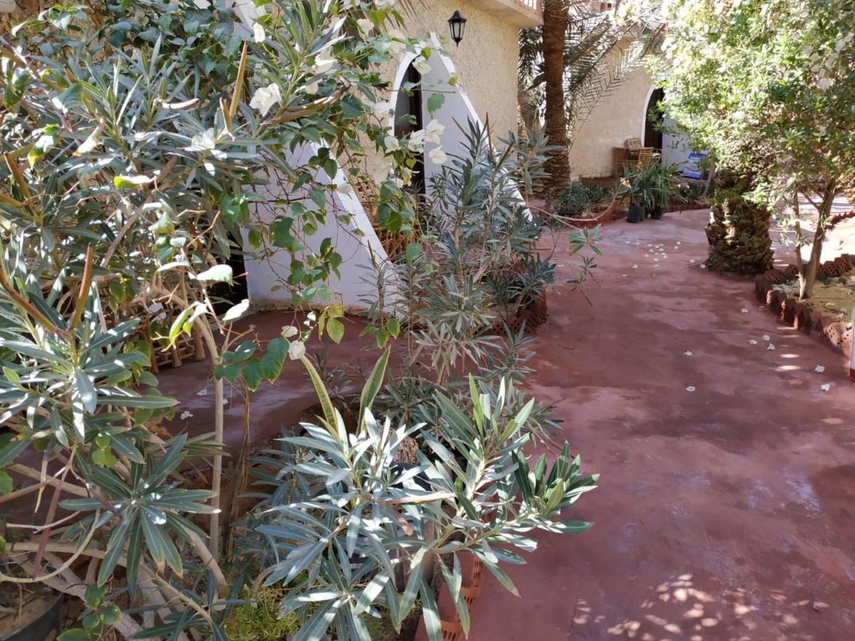 Siwa Paradise Szíva-oázis Kültér fotó
