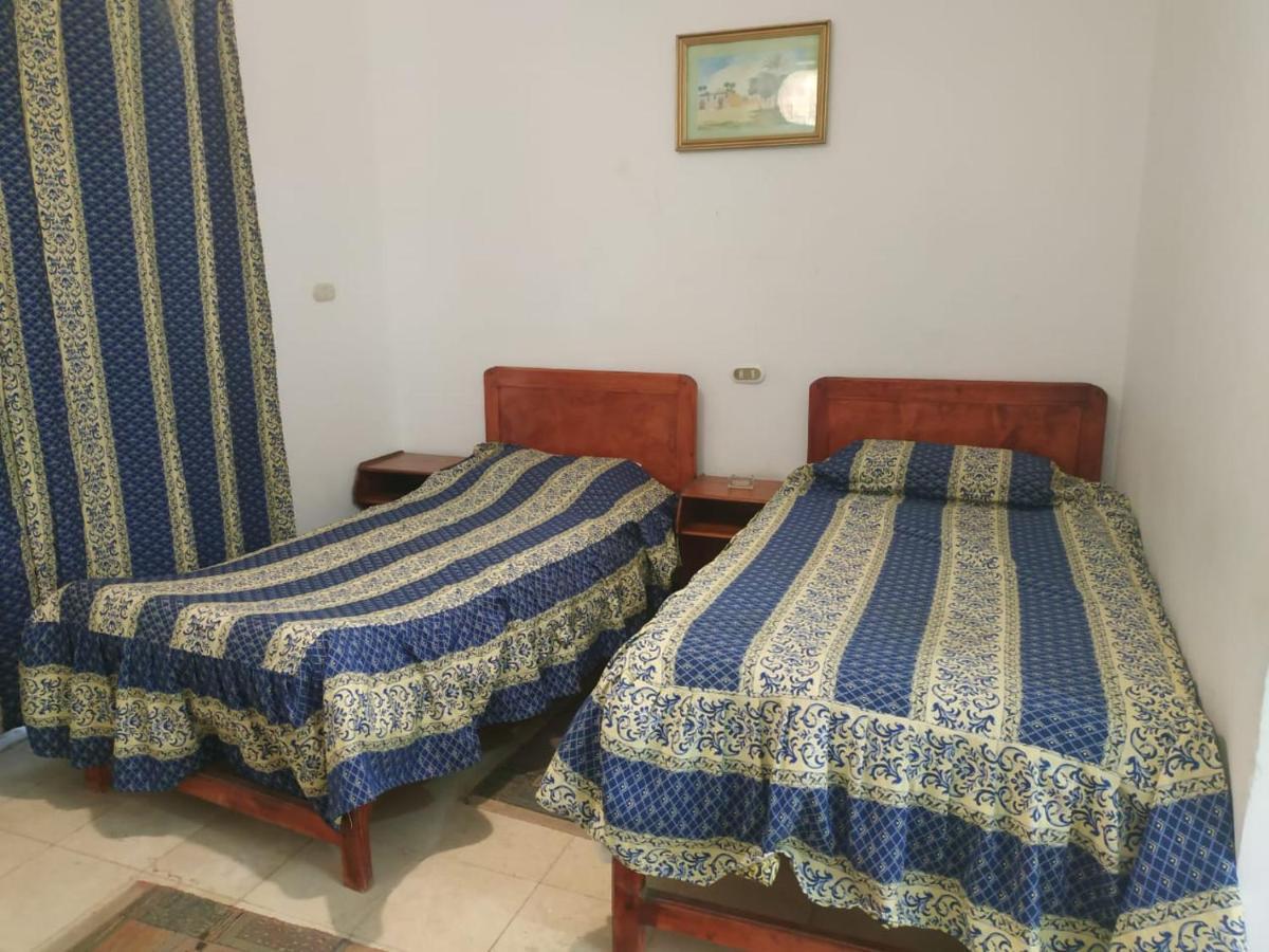 Siwa Paradise Szíva-oázis Kültér fotó