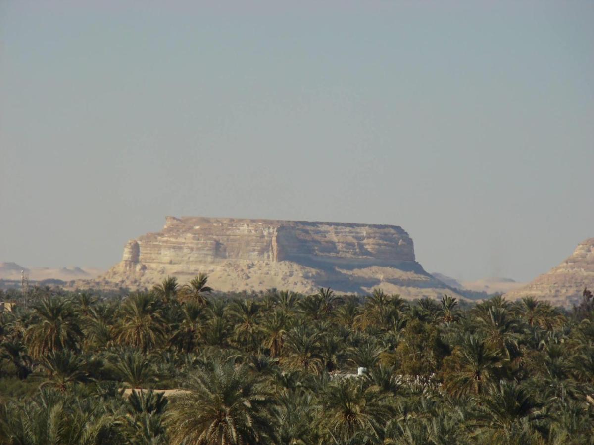 Siwa Paradise Szíva-oázis Kültér fotó